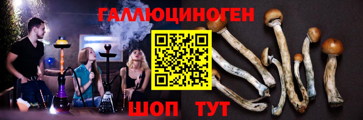Галлюциногенные грибы MAGIC MUSHROOMS  Галлюциногенные грибы Magic Shrooms  Иваново  Вход с VPN 