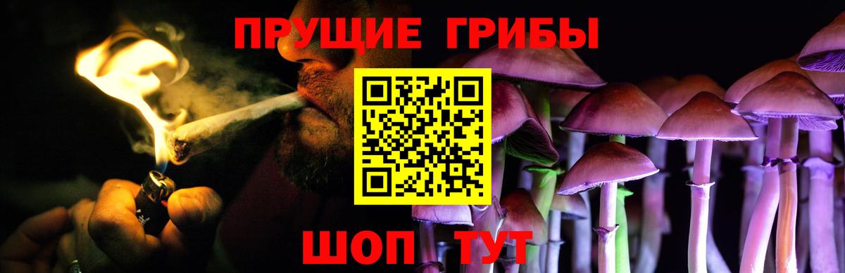 Псилоцибиновые грибы Psilocybine cubensis Иваново